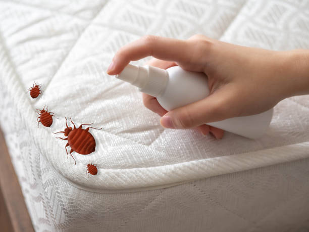 Best Pest Control Near Me in Lombard, IL